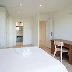 Pucela Apartmets Valladolid