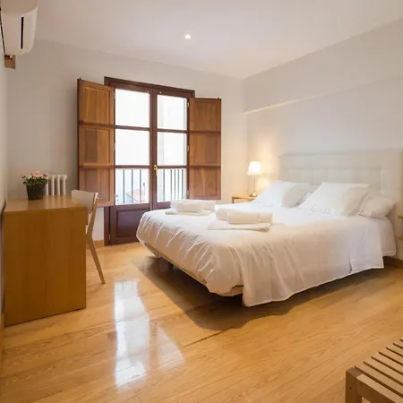 Pucela Apartmets